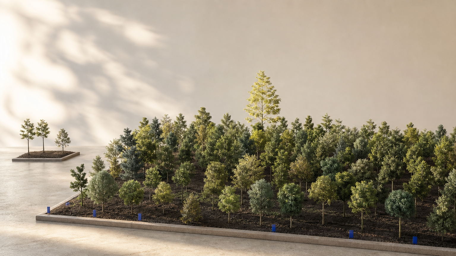 A broad grove of varied young trees includes one taller tree in the distance, contrasted with a small isolated cluster, illustrating wider investment exposure versus concentration.